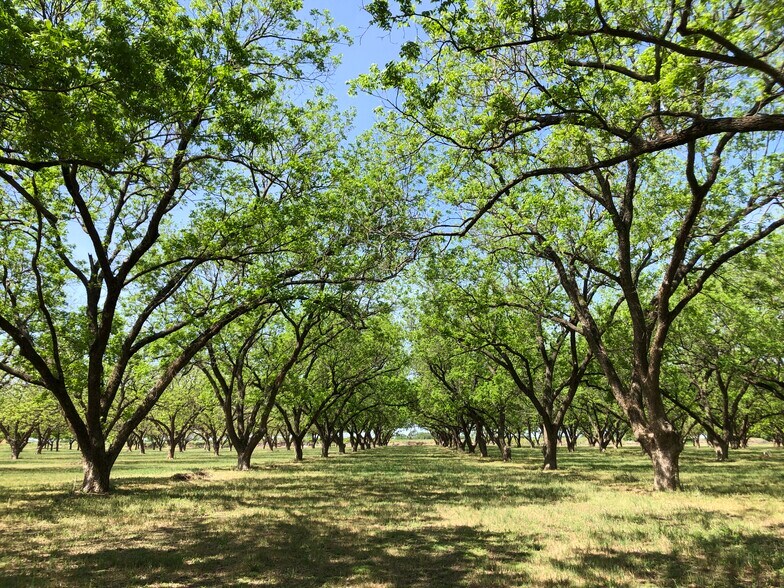 Primary Photo Of 12633 Gholson Rd, Waco Specialty For Sale