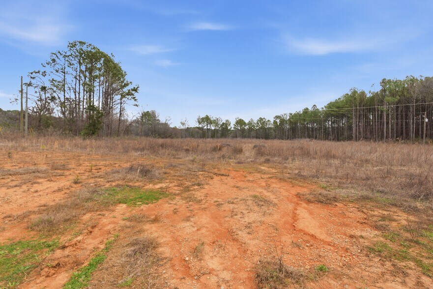 More Photos Of 2418 Joe Frank Harris Pky NW, Cartersville Land For Sale