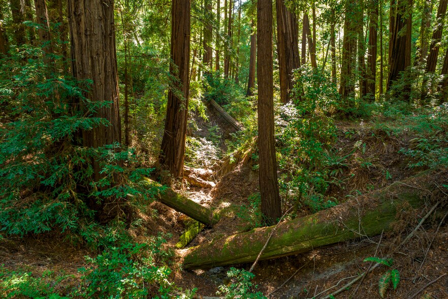More Photos Of 2372 McKenzie Creek rd, Scotts Valley Land For Sale