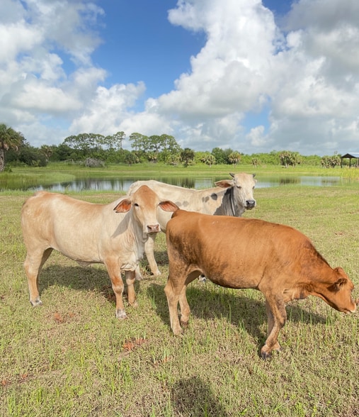 More Photos Of 2105 86th Ave SW, Vero Beach Land For Sale