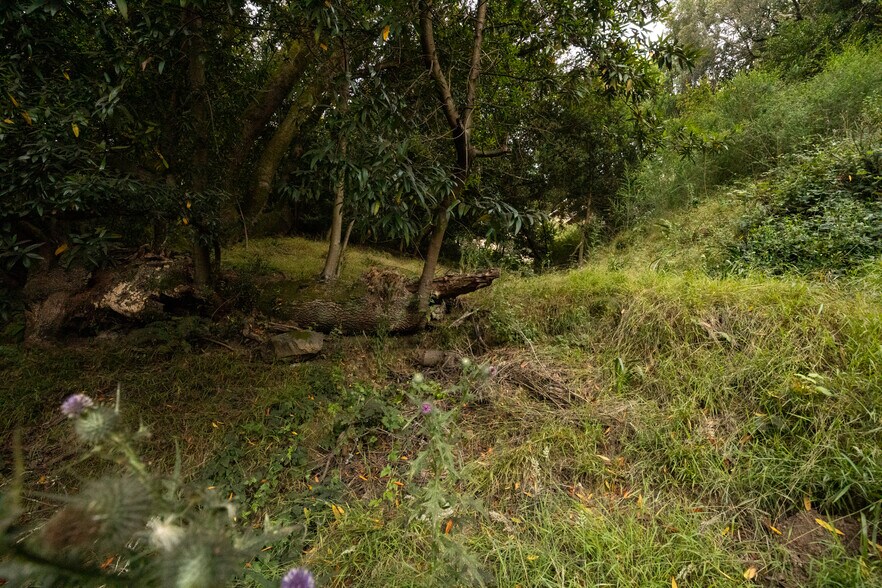 More Photos Of 0 Girvin Dr, Oakland Land For Sale