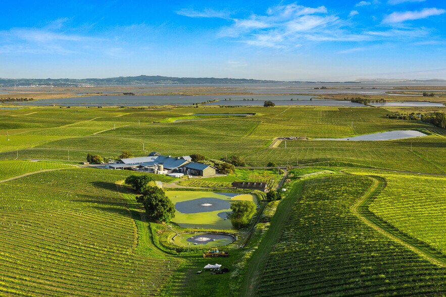 More Photos Of 2750 Las Amigas Rd, Napa Winery Vineyard For Sale