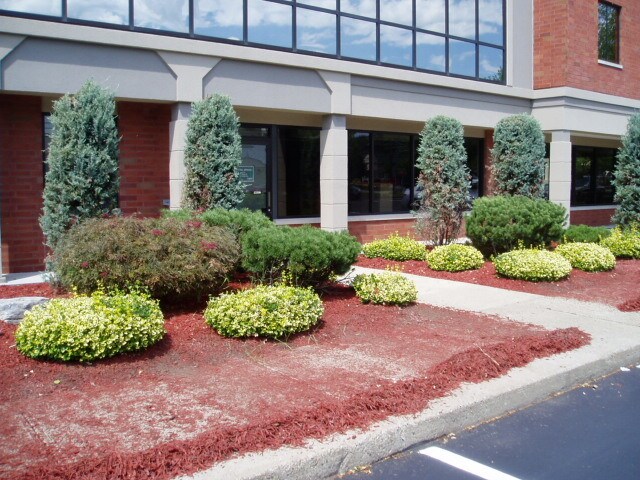 More Photos Of 1762 Central Ave, Colonie Office For Lease