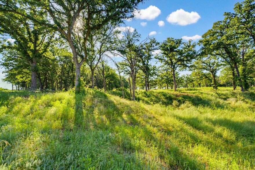 More Photos Of 464 Co 1270 rd, Alvord Land For Sale