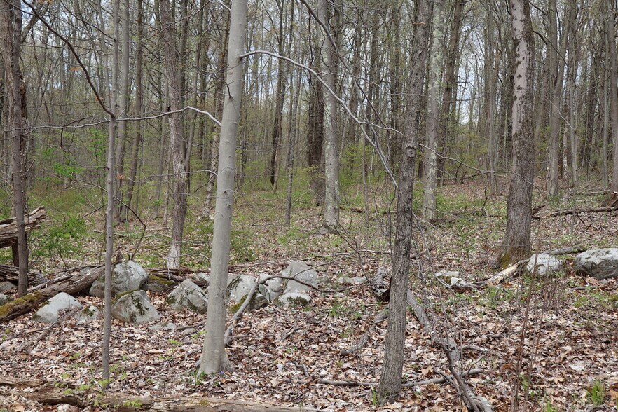 More Photos Of 330 Plutarch Rd, Highland Land For Sale