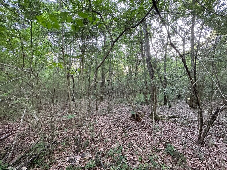 More Photos Of 0 Wilmer, Wilmer Land For Sale