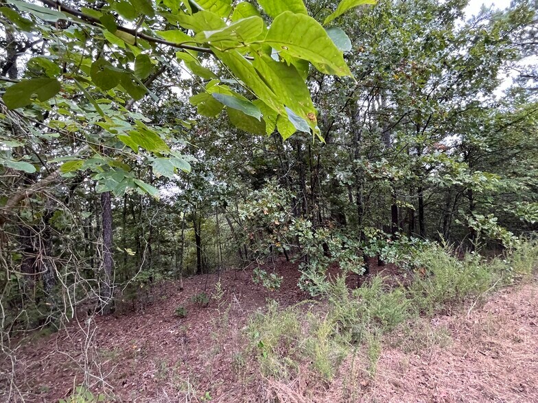 More Photos Of 27546 Reservation Rd, Daisy Land For Sale