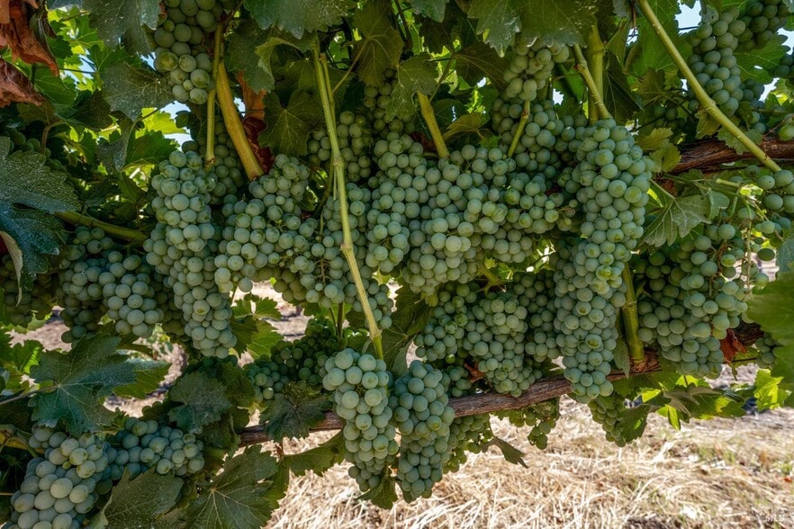 More Photos Of 2000 Clover Valley Rd, Upper Lake Land For Sale