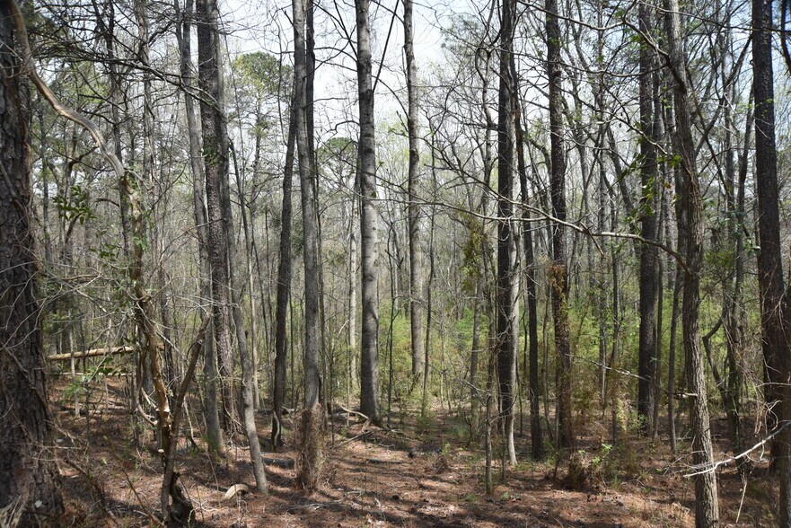 More Photos Of Warm Springs Rd @ GA-208, Waverly Hall Land For Sale