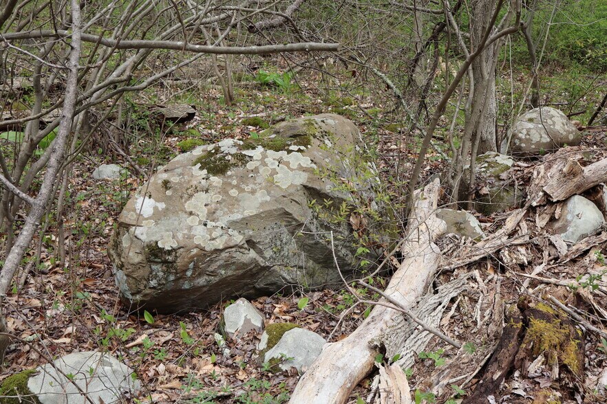 More Photos Of 330 Plutarch Rd, Highland Land For Sale