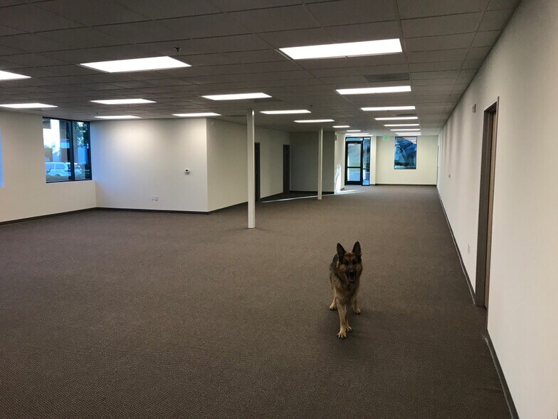 More Photos Of 3288 Grey Hawk Ct, Carlsbad Research And Development For Lease