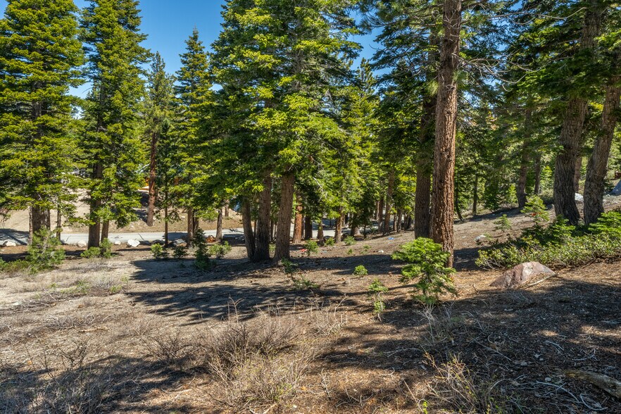More Photos Of 167 Crawford Ave, Mammoth Lakes Land For Sale