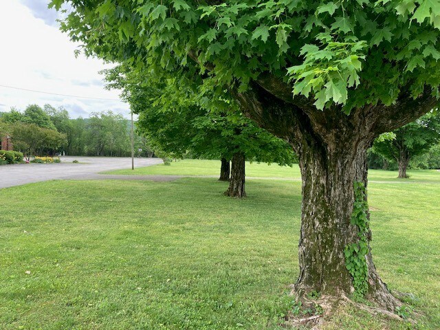 More Photos Of 9450 Dayton Pike, Soddy Daisy Land For Sale