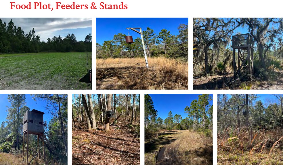 More Photos Of 8350 McLaughlin, Homosassa Land For Sale