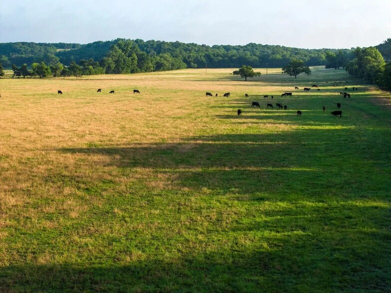 More Photos Of 0 County Road 328, Era Land For Sale