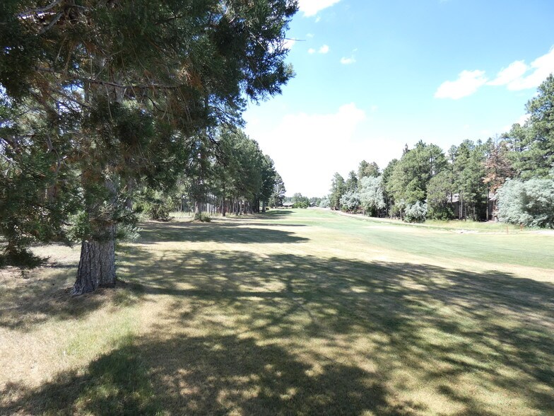 More Photos Of 541 N Clark Rd, Show Low Office For Lease