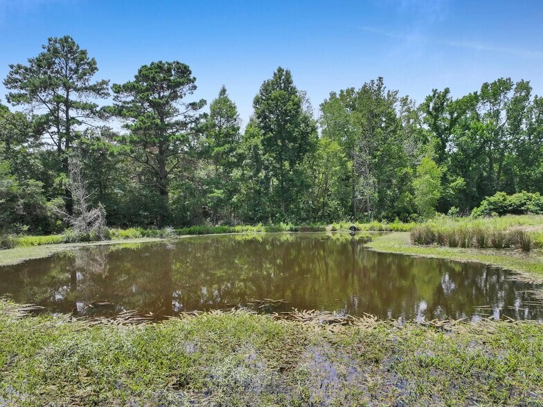 More Photos Of 8323 County Road 292, Buffalo Land For Sale