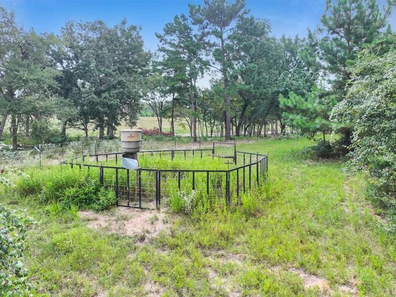 More Photos Of 10024 County Road 207, Centerville Land For Sale