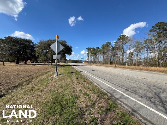 More Photos Of Hwy 421 S. Malpass Corner, Burgaw Land For Sale