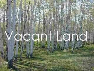 More Photos Of 6130 Wayne Rd, Romulus Land For Sale