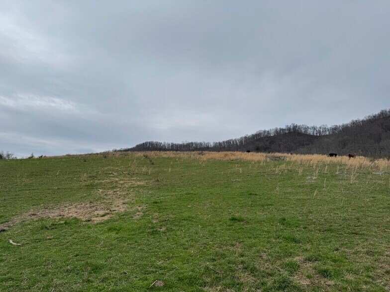 More Photos Of Lucrative Business Property, Jonesville Land For Sale