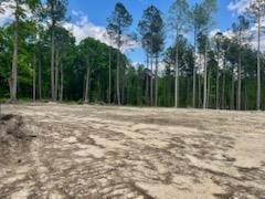 More Photos Of TBD Courthouse Rd, Sutherland Land For Sale