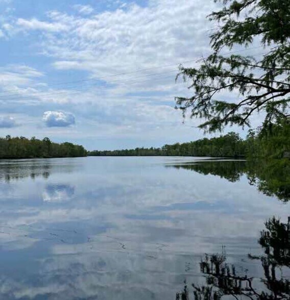 More Photos Of Castle Hayne Rd, Castle Hayne Land For Sale