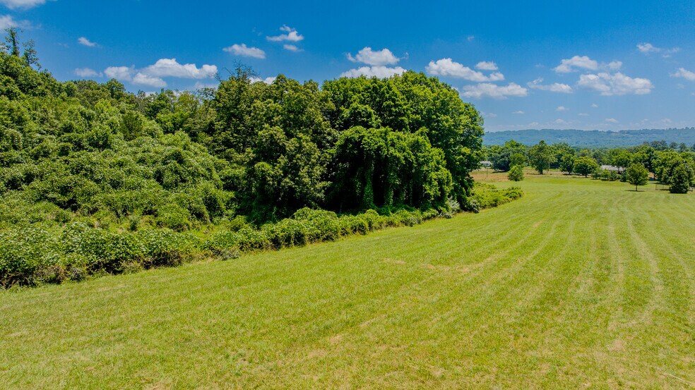 More Photos Of 199 Stuffle St, Kingsport Land For Sale