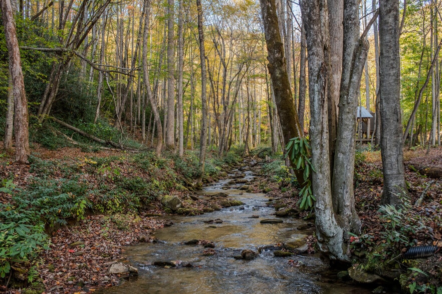 More Photos Of 195 Still Waters Ln, Brevard Land For Sale