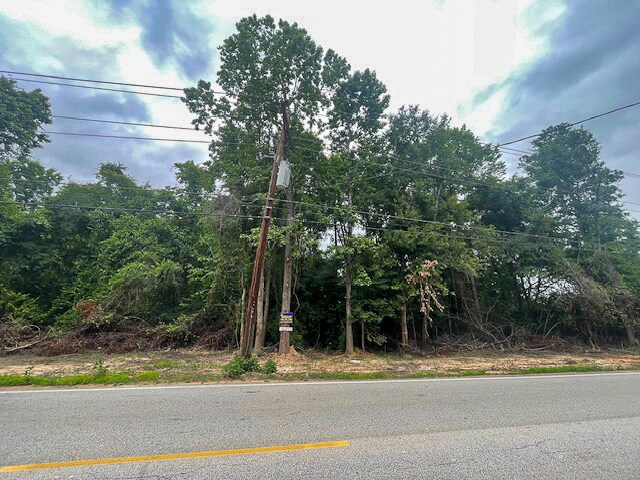 More Photos Of Sleepy Hollow Road, Conroe Land For Sale