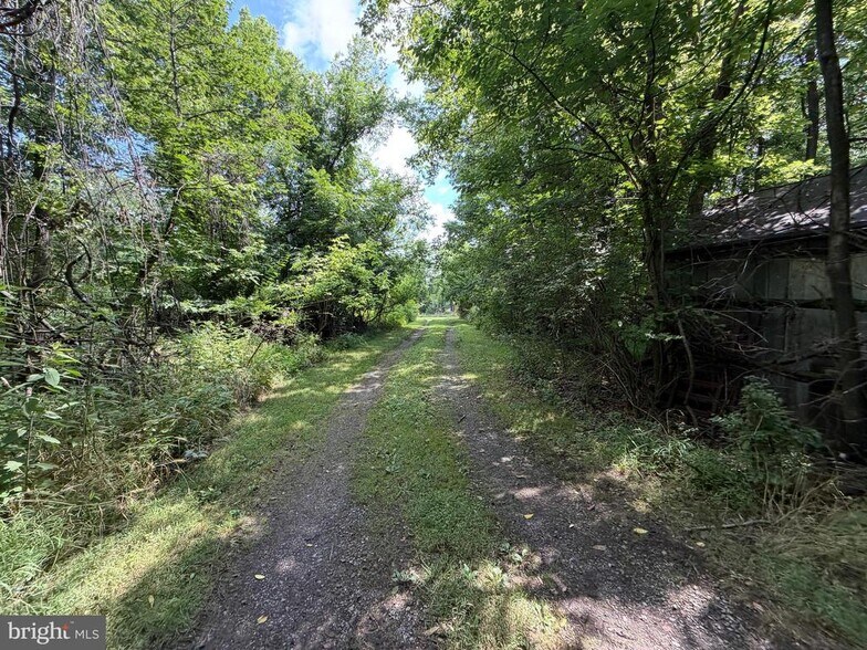 More Photos Of 10068 Harry Byrd Hwy, Berryville Land For Sale