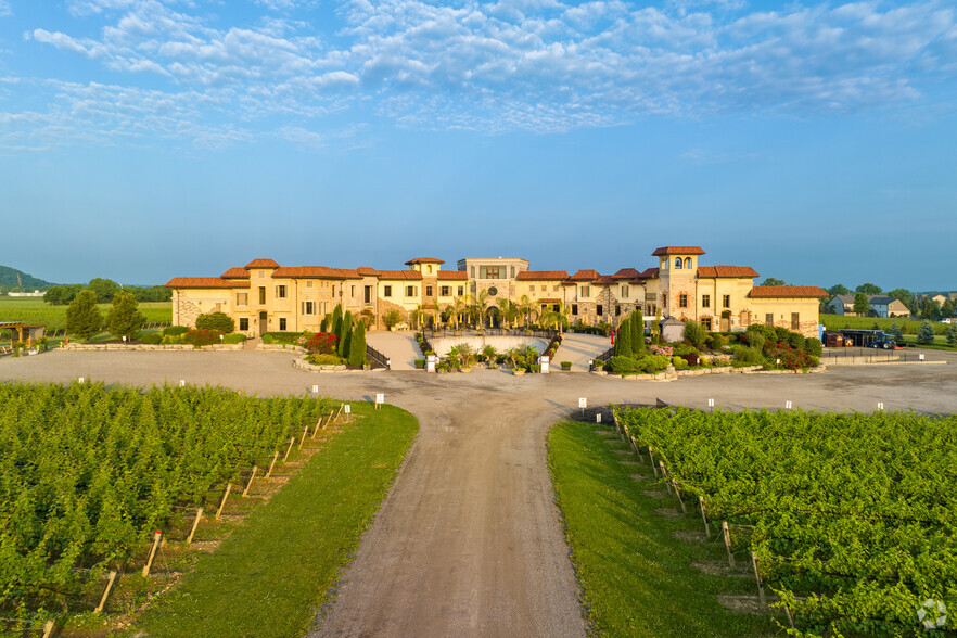 Primary Photo Of 348 Concession 6 Rd, Niagara On The Lake Winery Vineyard For Sale