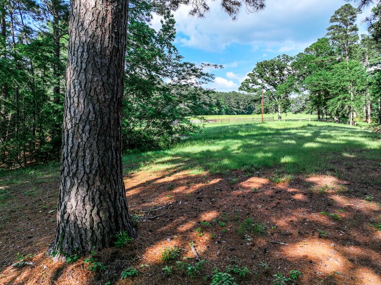 More Photos Of 19785 State Highway 155 S, Flint Land For Lease