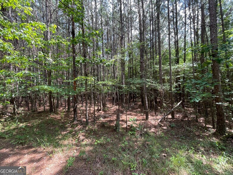 More Photos Of 0 Fallen Branch Circle Southeast, Rome Land For Sale