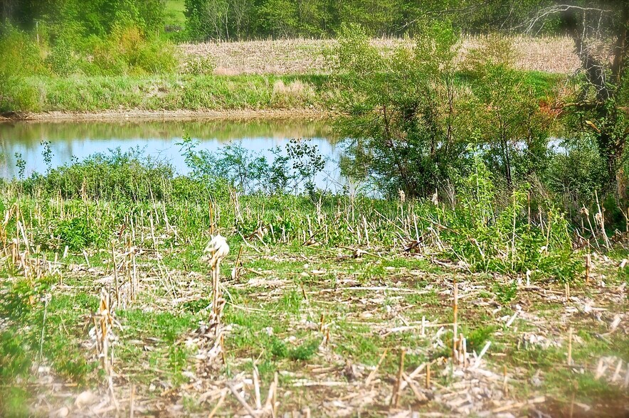 More Photos Of 710 E Elm St, Gallatin Land For Sale