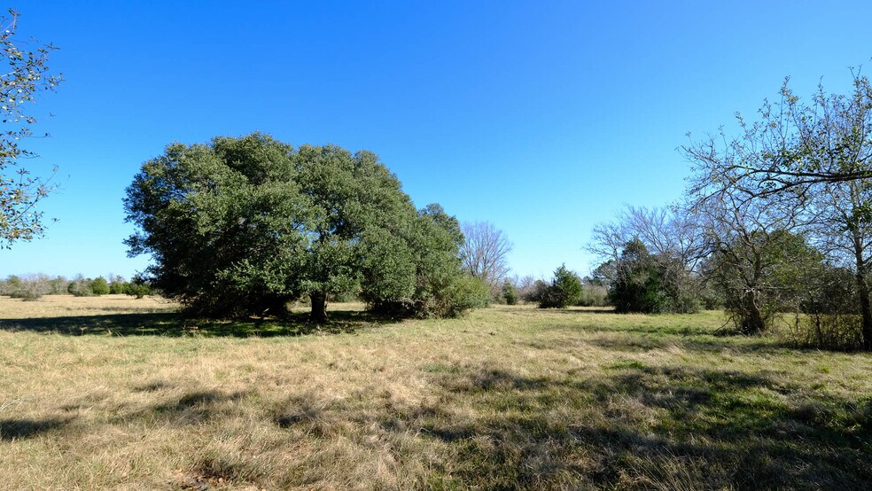 More Photos Of 26266 Fields Store Rd., Waller Land For Sale