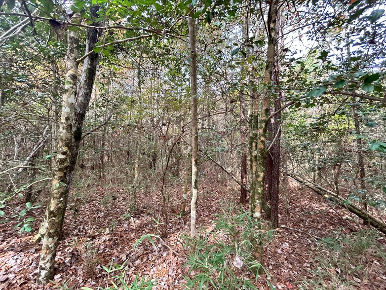 More Photos Of 2224 Governors rd, Windsor Land For Sale