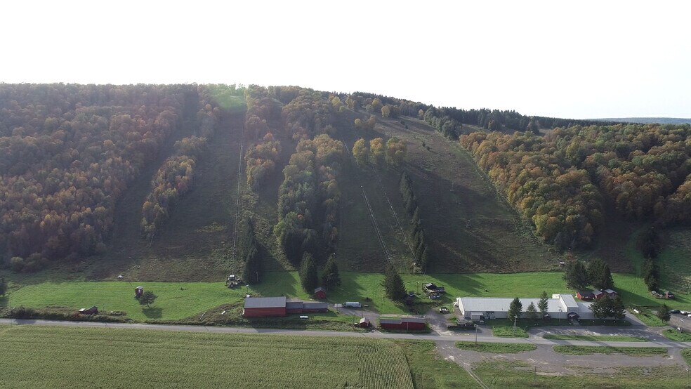 More Photos Of 1135 Toggenburg Rd, Fabius Land For Sale