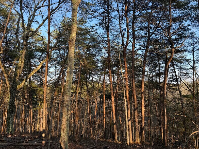 More Photos Of 260 Arnold Rd NE, Fairmount Land For Sale