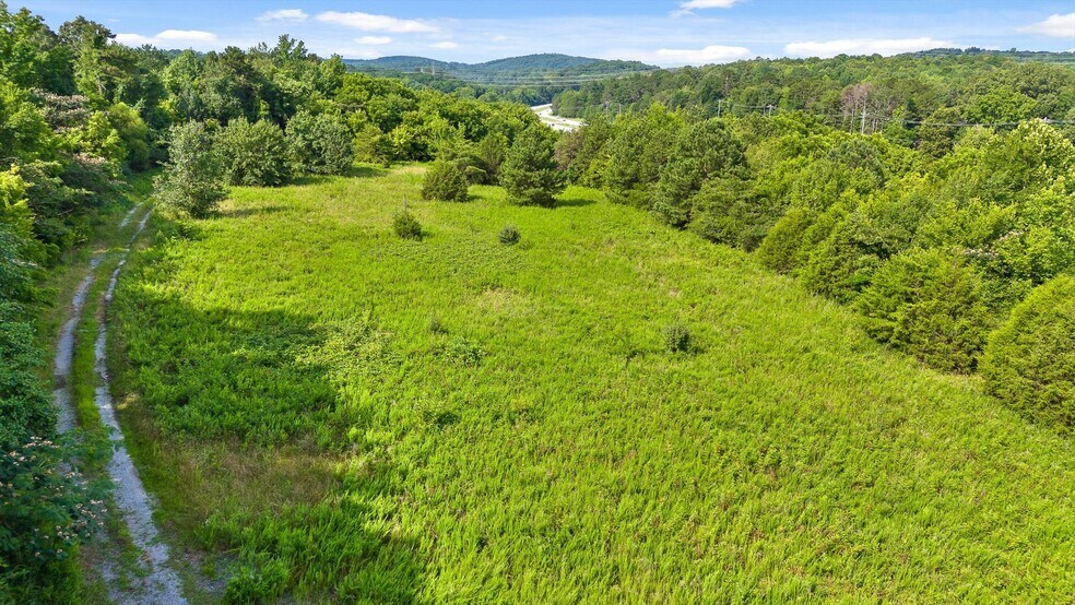 More Photos Of 8646 Hwy 58, Harrison Land For Sale