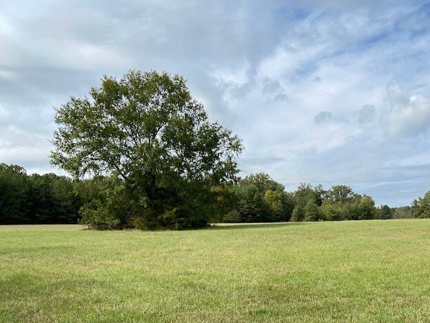 More Photos Of 0 Hwy 41S, Foreman Land For Sale