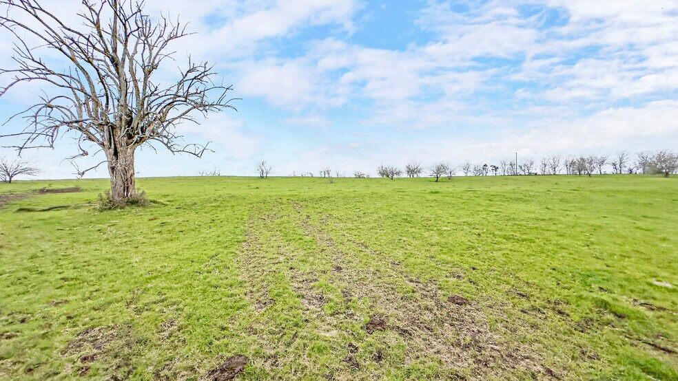 More Photos Of 3601 Highway 36 S, Brenham Land For Sale