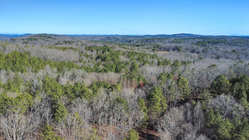 More Photos Of 277 Bethel Church Rd SE, Silver Creek Land For Sale