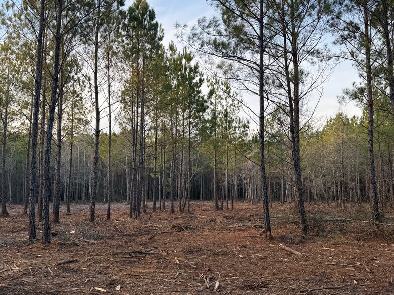 More Photos Of 319 - 547 Sisters Ferry Road, Ridgeland Land For Sale