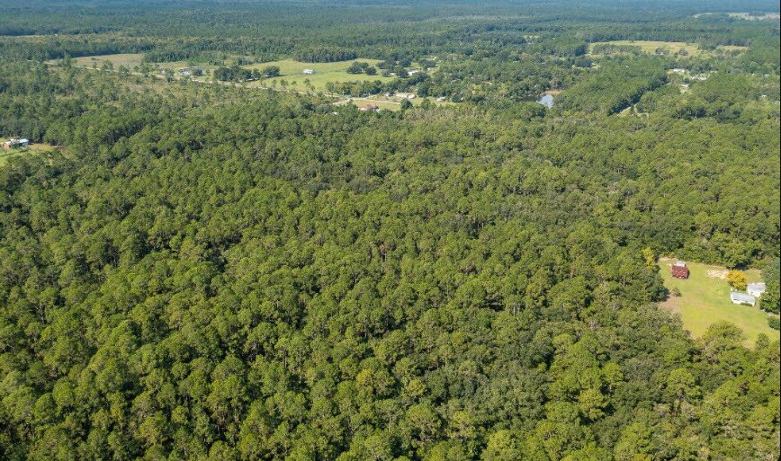 More Photos Of 859 River rd, Palatka Land For Sale