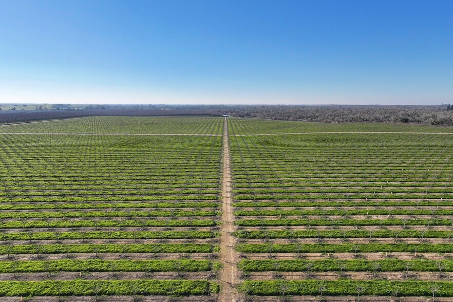 More Photos Of 15743 N Allen Rd, Snelling Land For Sale