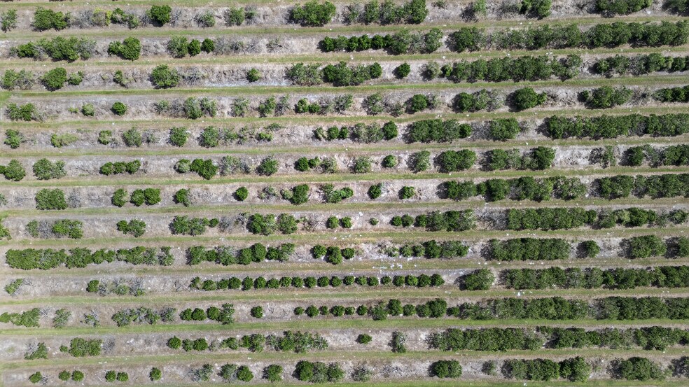 More Photos Of 8476 Ten Mile Grade, Zolfo Springs Land For Sale