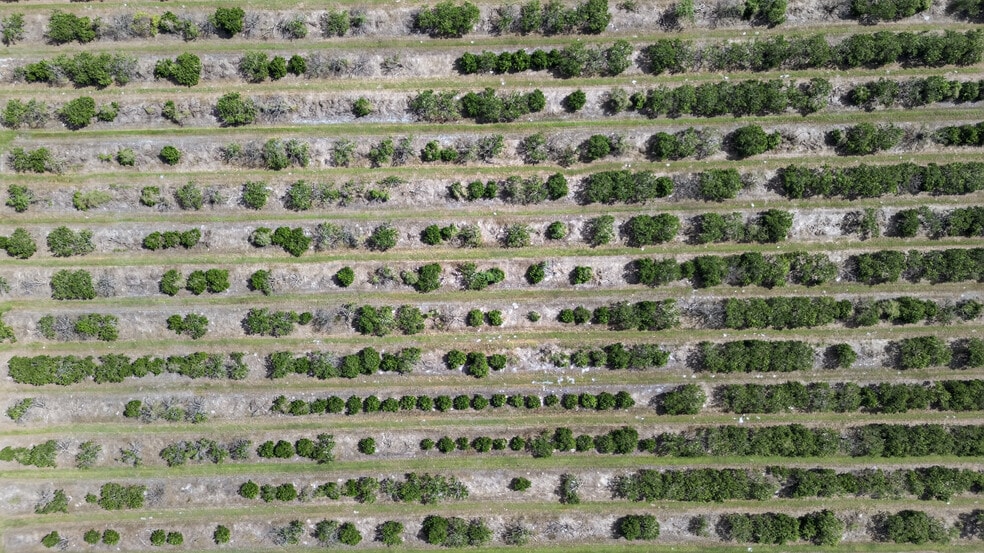 More Photos Of 8476 Ten Mile Grade, Zolfo Springs Land For Sale