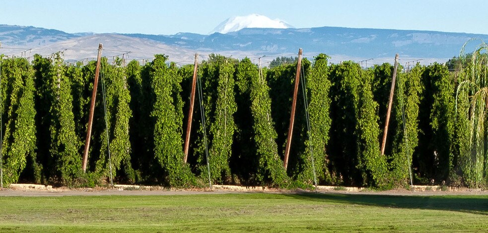 More Photos Of 20 Staff Sargeant Pendleton Way, Yakima Apartments For Sale
