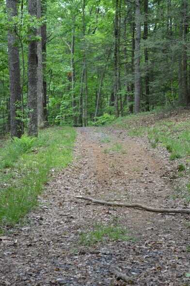 More Photos Of 6421 Highway 91 N, Laurel Bloomery Warehouse For Sale